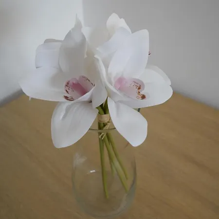 Comfort Budapest Apartment, Balcony, Free Parking, Ideal For Longer Stays